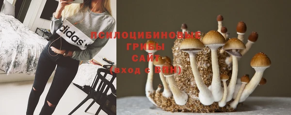 таблы Елабуга