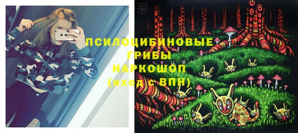бошки Елизово