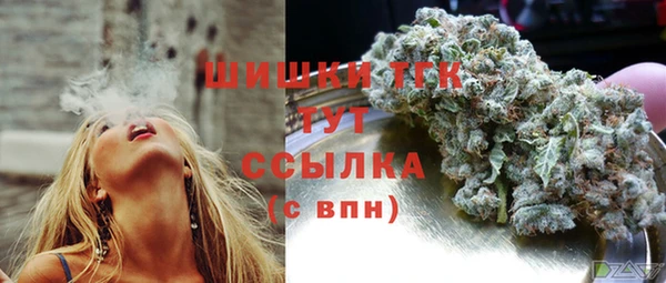 бошки Елизово