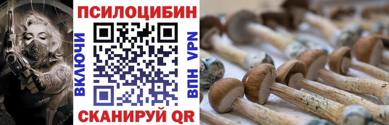 Галлюциногенные грибы мицелий  сайты даркнета официальный сайт  Ирбит 