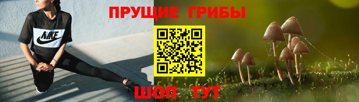 Ирбит  где найти наркотики  Вход с VPN  Галлюциногенные грибы прущие грибы 